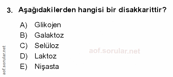 Soru 3