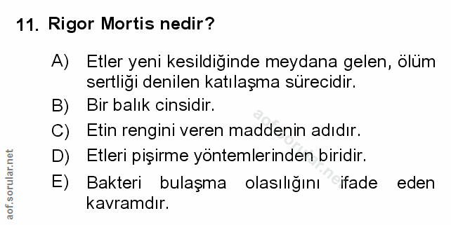 Soru 11