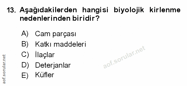 Soru 13