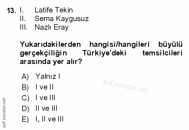Soru 13