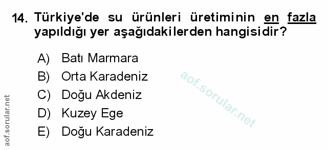 Soru 14