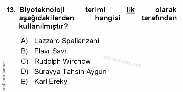 Soru 13