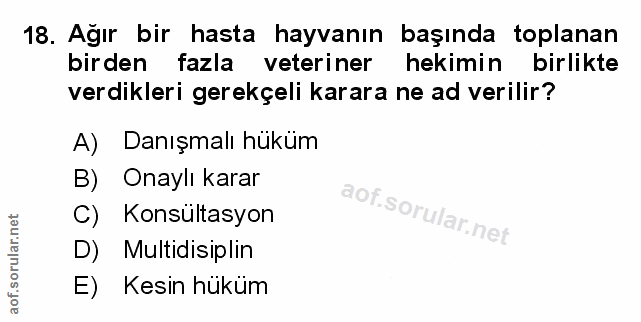 Soru 18