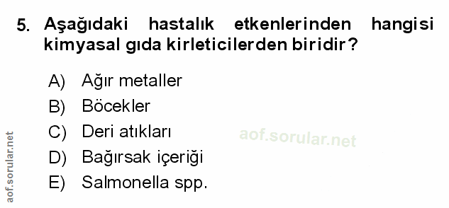 Soru 5