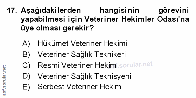 Soru 17