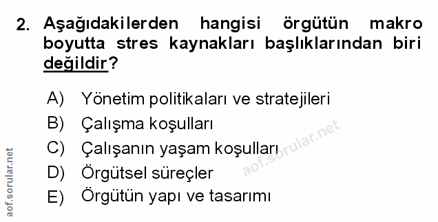 Soru 2
