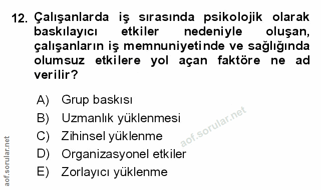 Soru 12