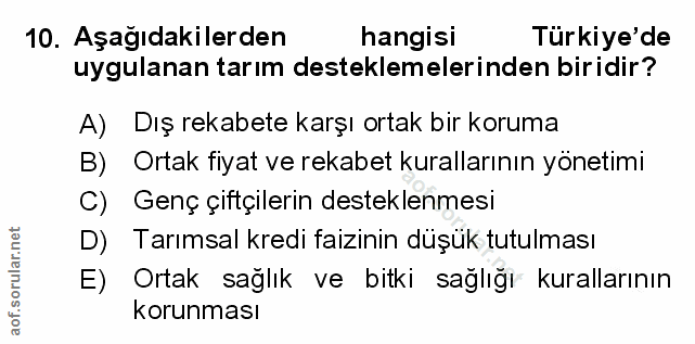 Soru 10