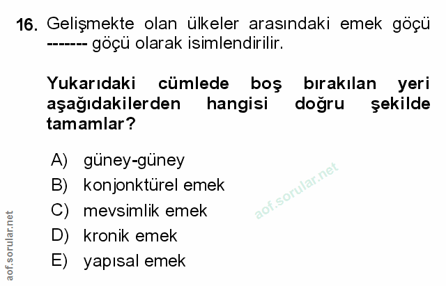 Soru 16