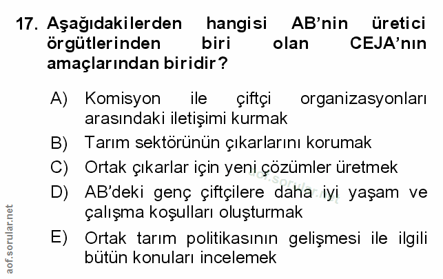 Soru 17