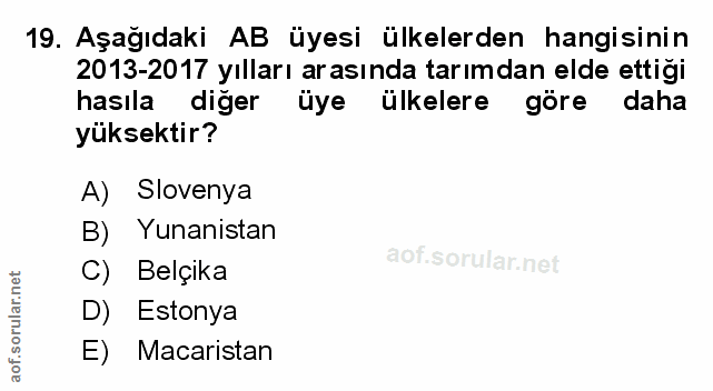 Soru 19