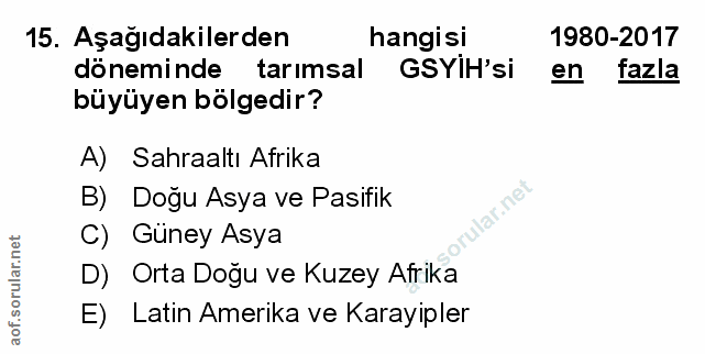 Soru 15