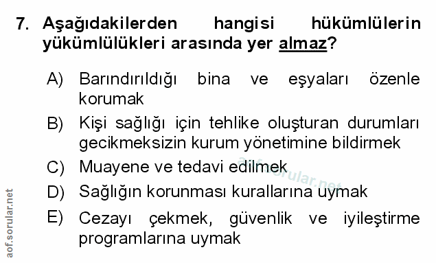 Soru 7