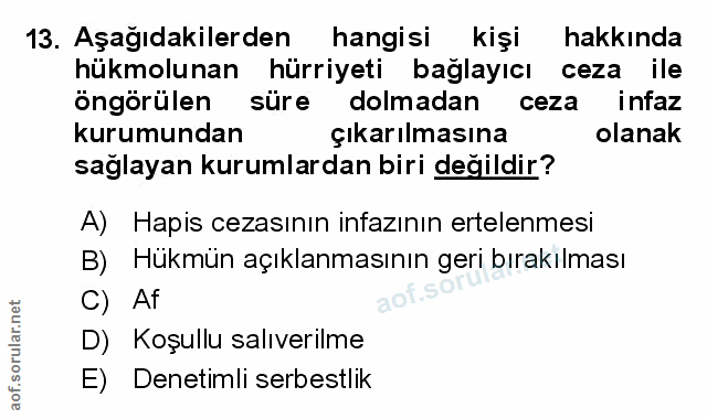 Soru 13
