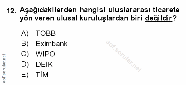 Soru 12