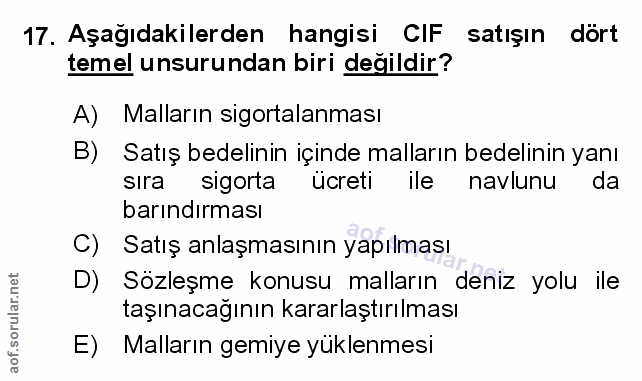 Soru 17