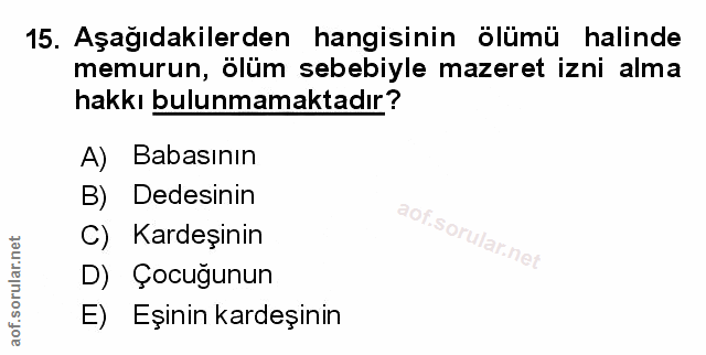 Soru 15