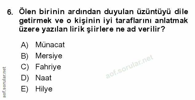 Soru 6