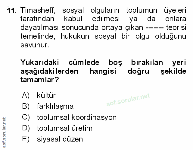 Soru 11