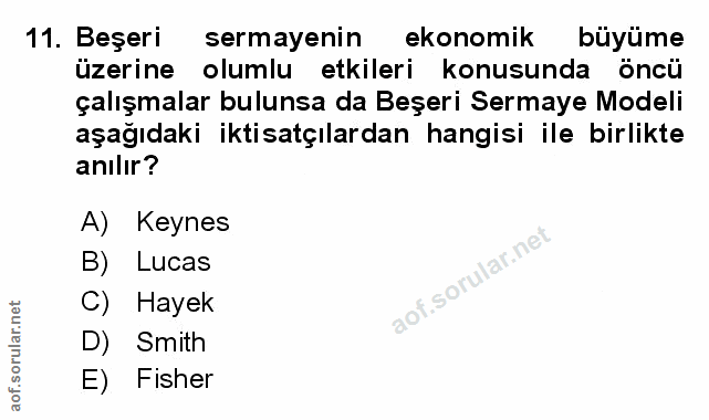 Soru 11