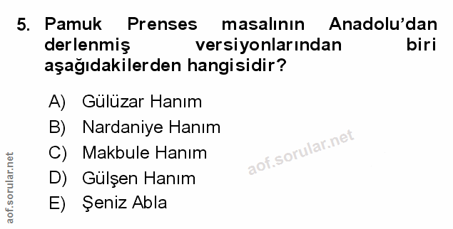 Soru 5