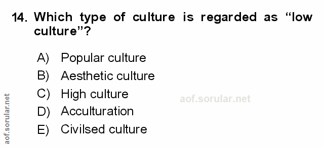 Soru 14
