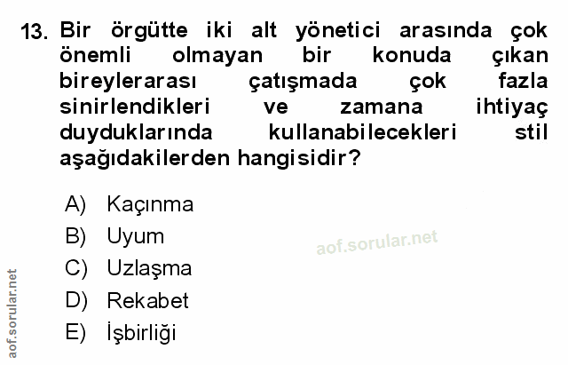 Soru 13