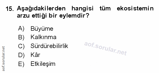 Soru 15