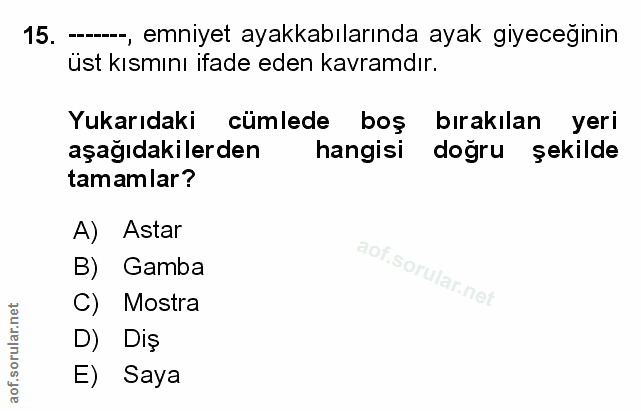 Soru 15