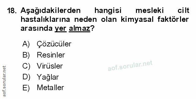 Soru 18