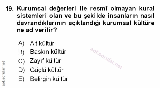 Soru 19