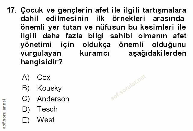 Soru 17