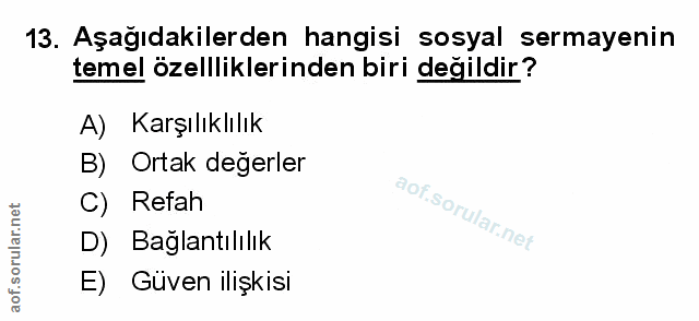 Soru 13