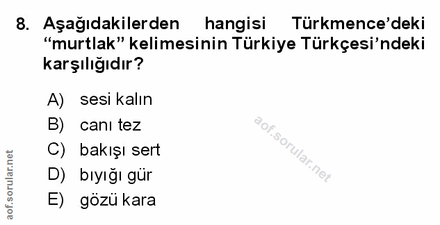 Soru 8
