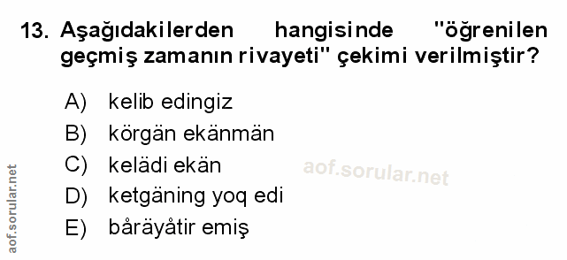 Soru 13
