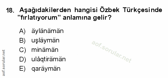 Soru 18