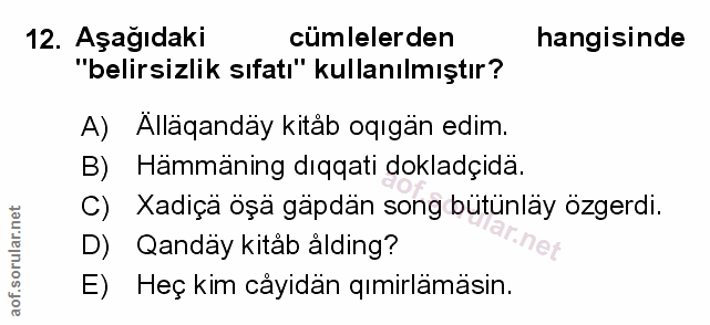 Soru 12