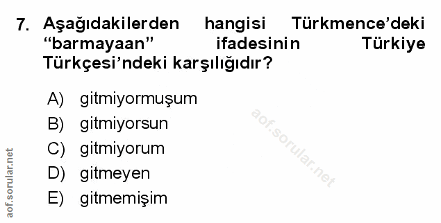 Soru 7