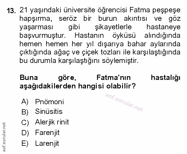 Soru 13