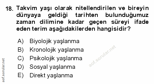 Soru 18