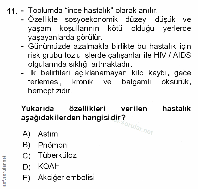 Soru 11