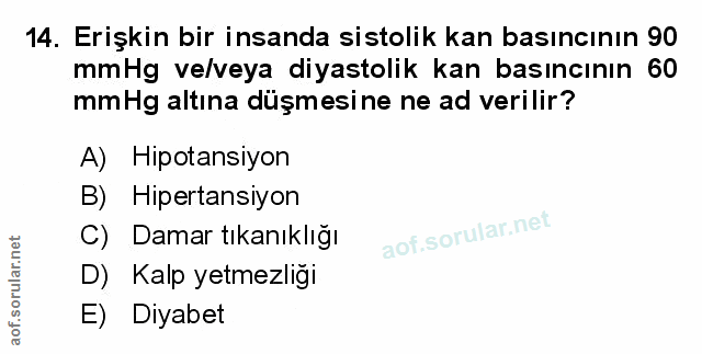 Soru 14