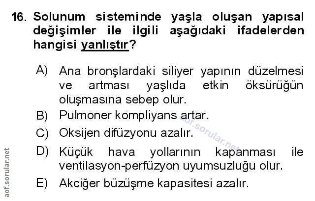 Soru 16