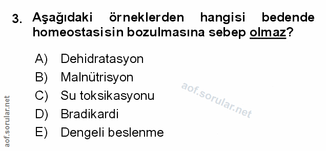 Soru 3