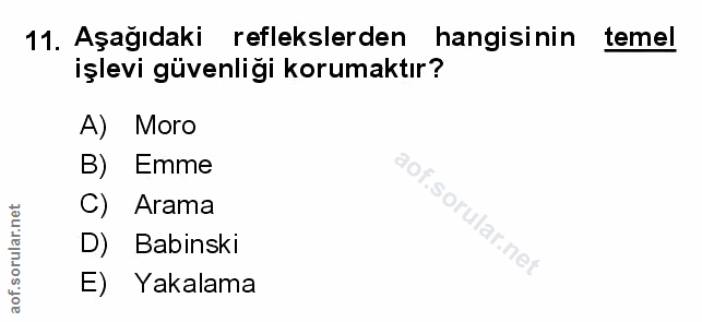 Soru 11