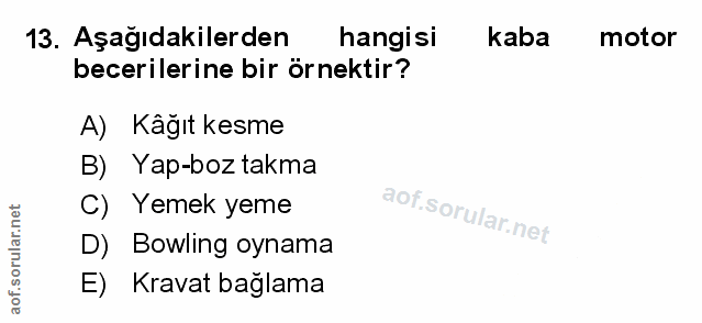 Soru 13