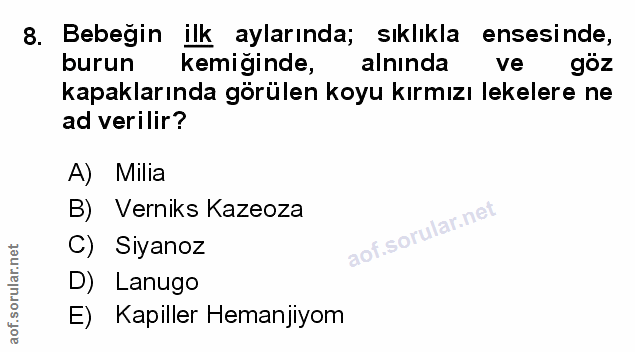 Soru 8