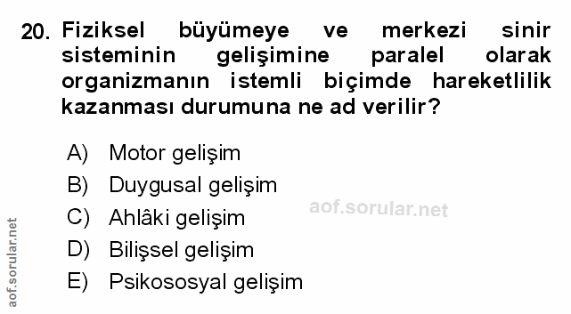Soru 20