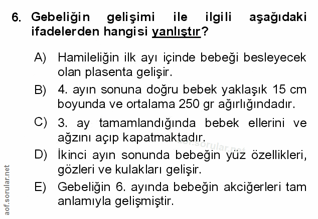 Soru 6