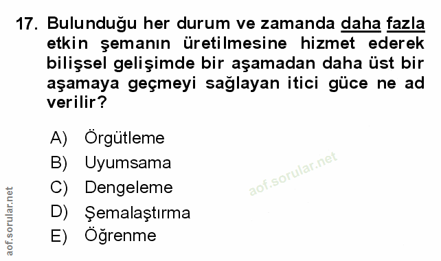 Soru 17